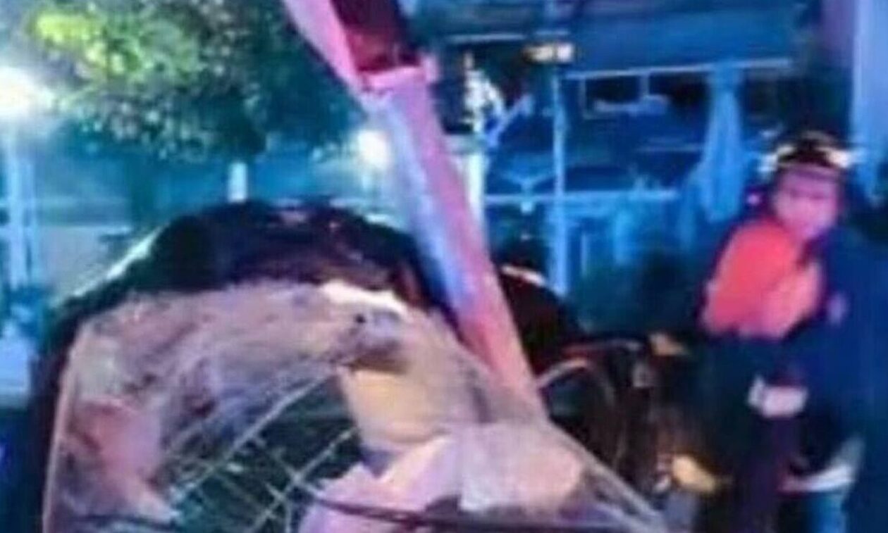 Πάτρα: Νεκρός ο 26χρονος που «καρφώθηκε» σε κολώνα με το αυτοκίνητό του