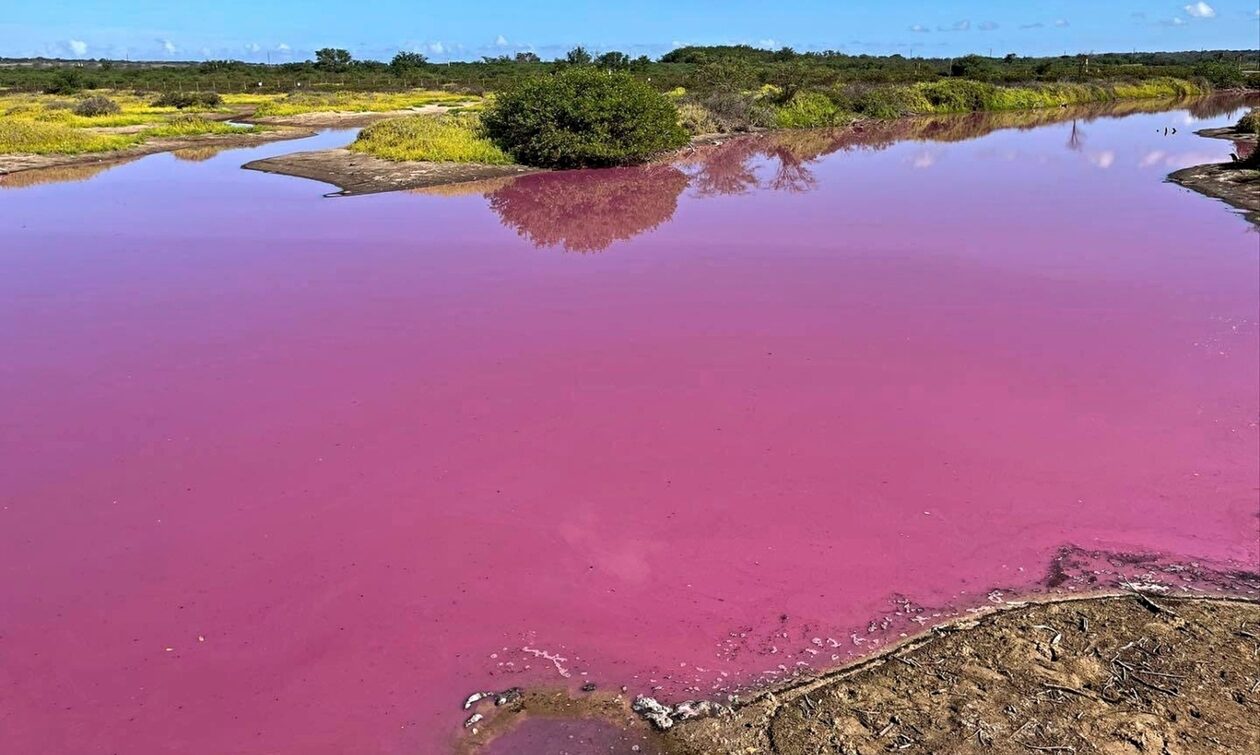 Χαβάη: Φοβερές εικόνες από λίμνη που έγινε… ροζ – Τι εξετάζεται από τους επιστήμονες