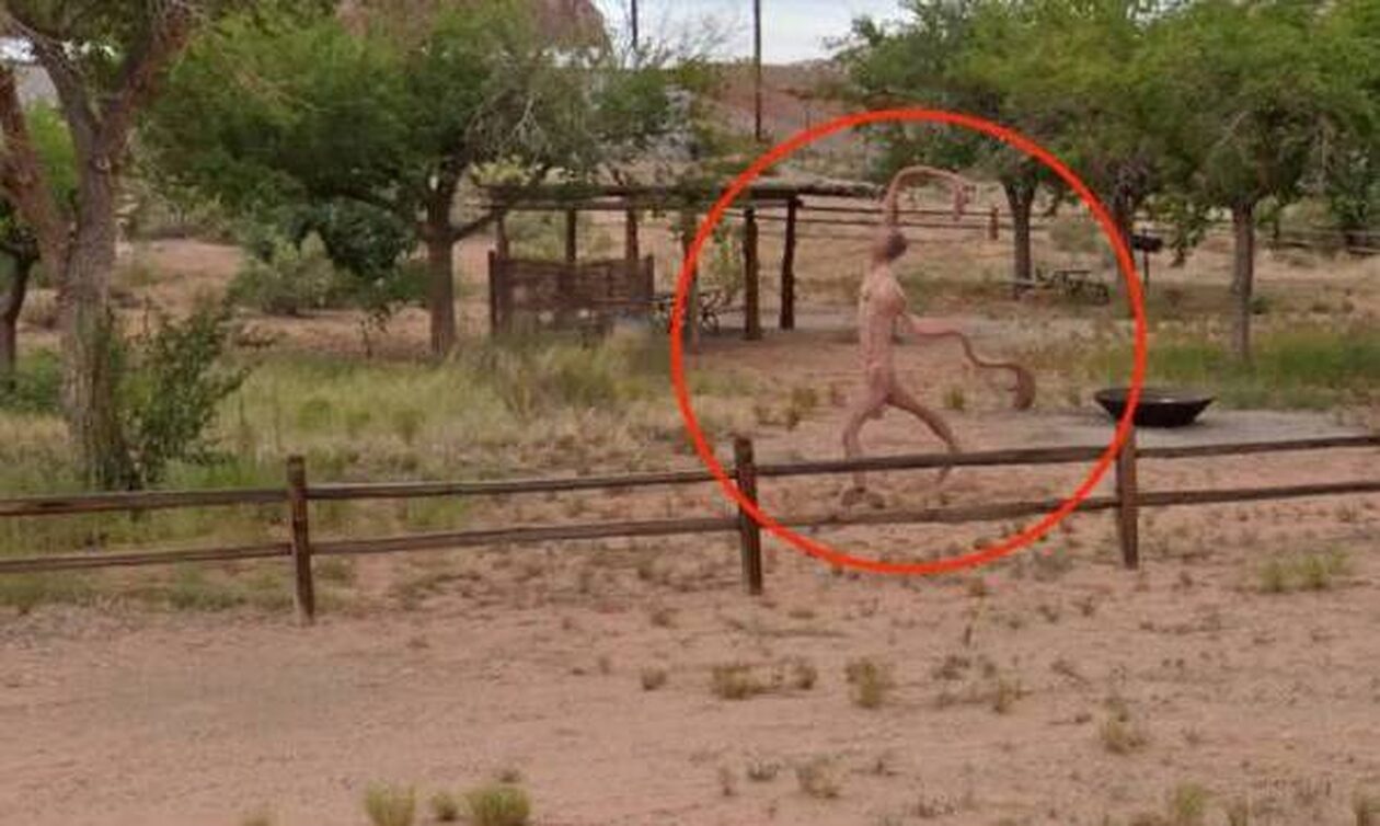 Παράξενο «γυμνό» πλάσμα... φρικάρει τους επισκέπτες στο Google Street View - «Είναι ανατριχιαστικό»