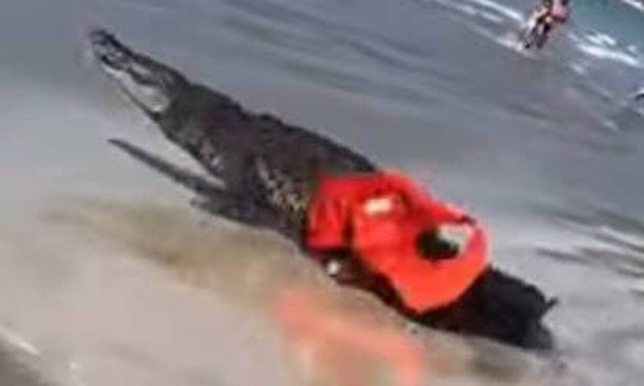 Μεξικό: Βίντεο – σοκ με κροκόδειλο να «κυνηγά» λουομένους σε παραλία