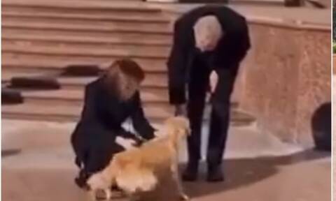 Ο σκύλος της Μολδαβής προέδρου δάγκωσε τον πρόεδρο της Αυστρίας (vid)