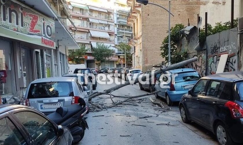 Θεσσαλονίκη: Πέφτουν δέντρα από τους ισχυρούς ανέμους - Σε επιφυλακή η Πυροσβεστική