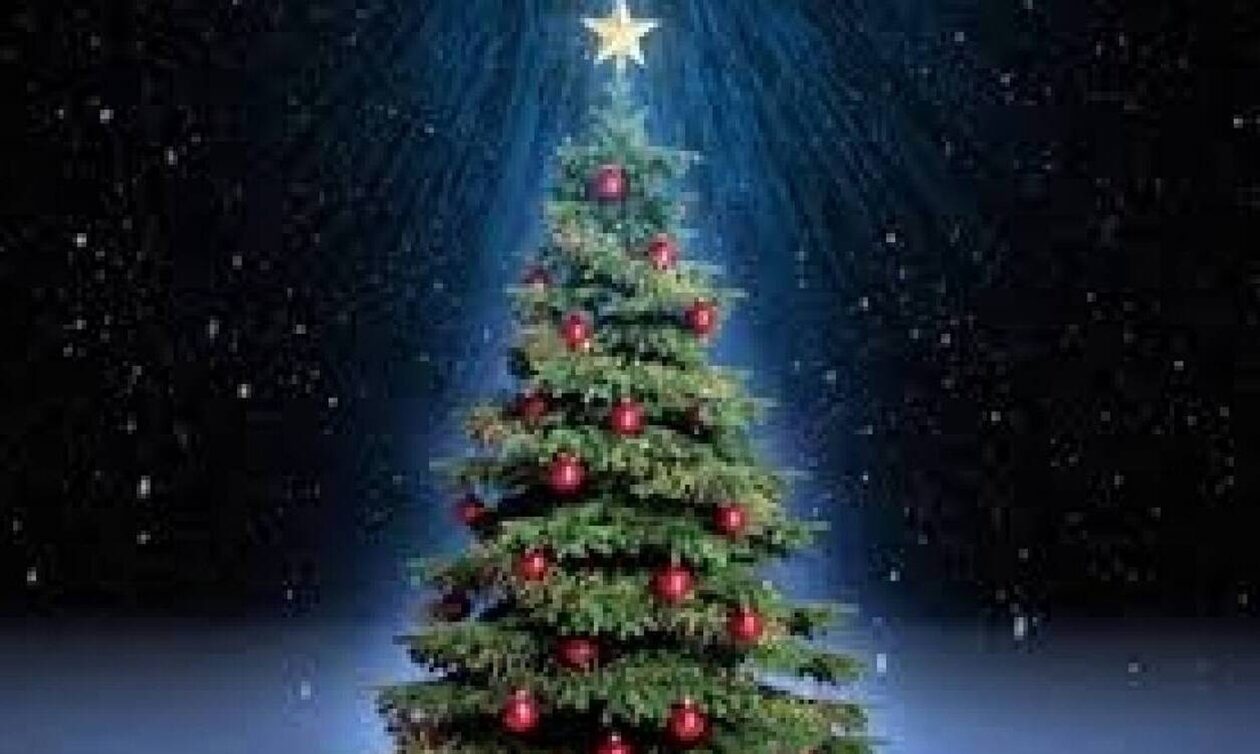 Μύρισε Χριστούγεννα στο Σύνταγμα - Ήρθε το δέντρο από το Καρπενήσι