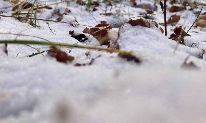 Έπεσαν τα πρώτα χιόνια στην Μαγνησία – Στα «λευκά» το Πήλιο