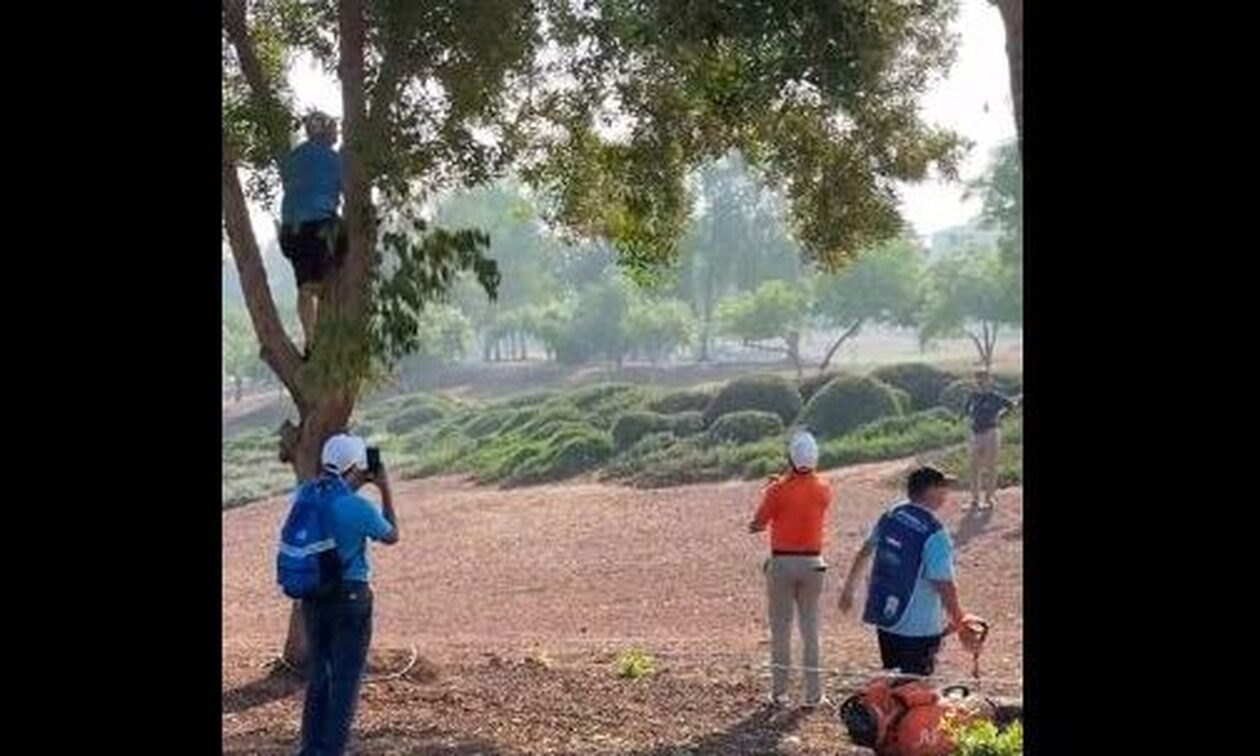 Παίκτης γκολφ έχασε τρία μπαστούνια κατά τη διάρκεια τουρνουά - Τα... πέταξε σε δέντρο
