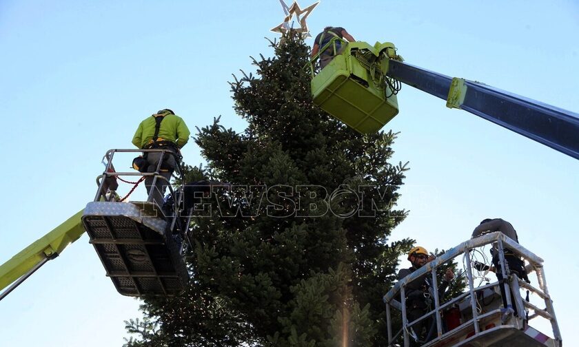 Δήμος Αθηναίων: Την Πέμπτη φωταγωγείται το Χριστουγεννιάτικο δέντρο στο Σύνταγμα