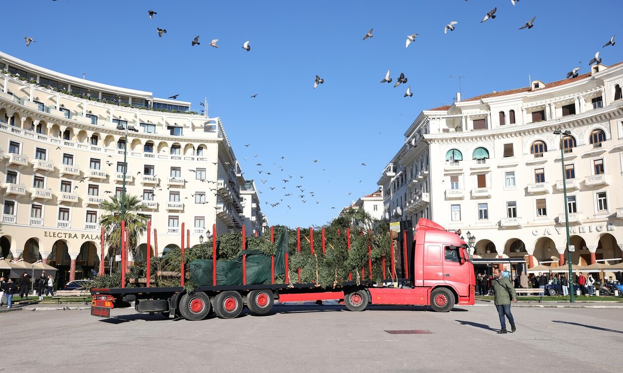 Θεσσαλονίκη: Έφτασε το Χριστουγεννιάτικο δέντρο στην πλατεία Αριστοτέλους - Πότε θα φωταγωγηθεί