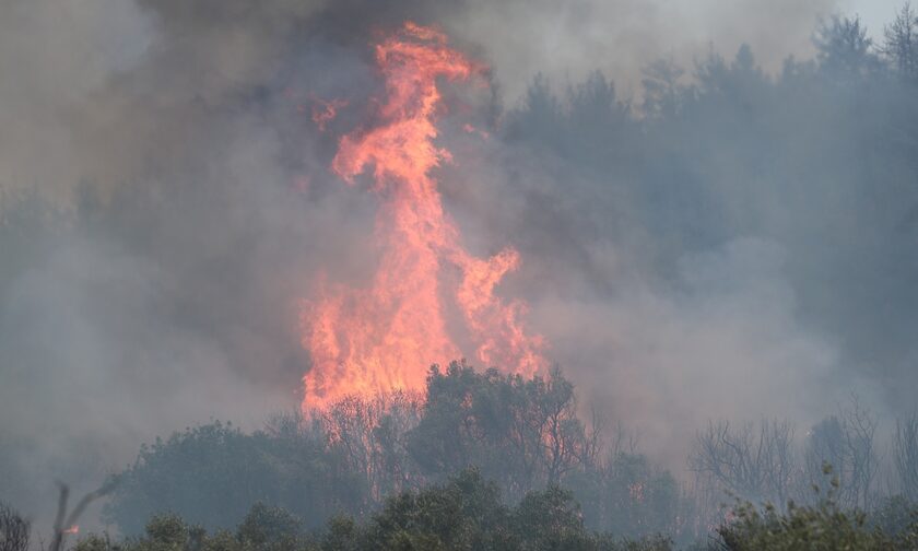 Φωτιά τώρα στο Ηράκλειο: Καίει σε δασική έκταση στο χωριό Αχλάδα