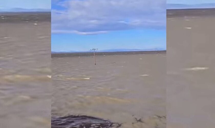 Θεσσαλία: Συγκλονιστικό βίντεο από την φουρτουνιασμένη λίμνη Κάρλα τρεις μήνες μετά τις πλημμύρες