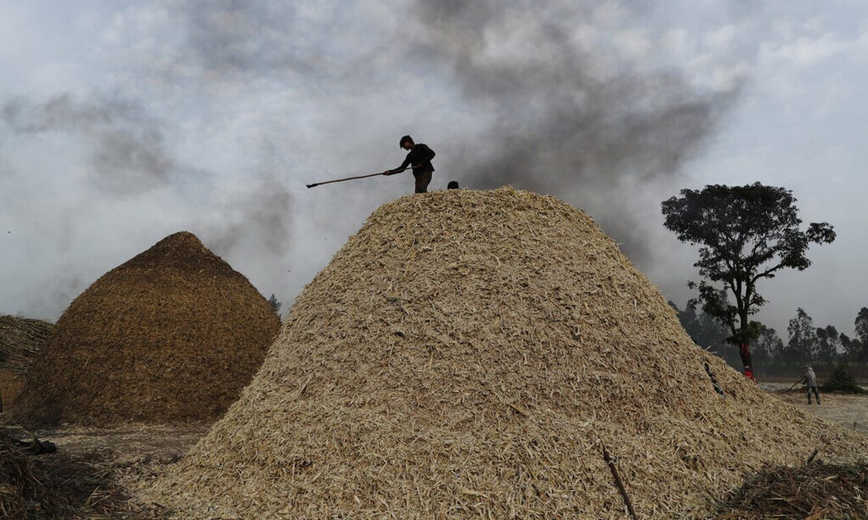 Είδος προς εξαφάνιση η ζάχαρη: Το «Ελ Νίνιο» καταστρέφει τις σοδειές και απογειώνει τις τιμές