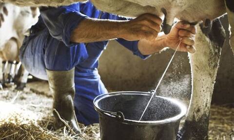 Παραγωγοί γάλακτος: Η διαφορά στην τιμή στα σούπερ μάρκετ είναι τεράστια