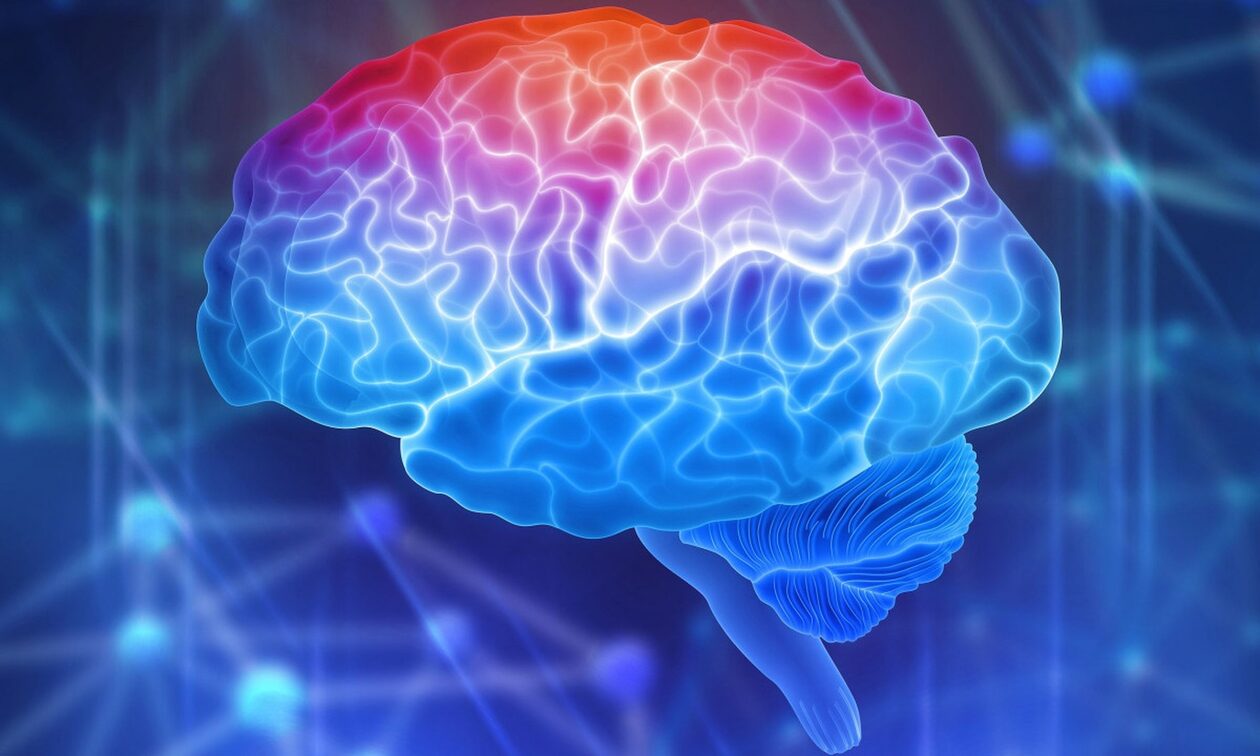 Ο ρόλος της φλεγμονής του εγκεφάλου στους πάσχοντες με Αλτσχάιμερ