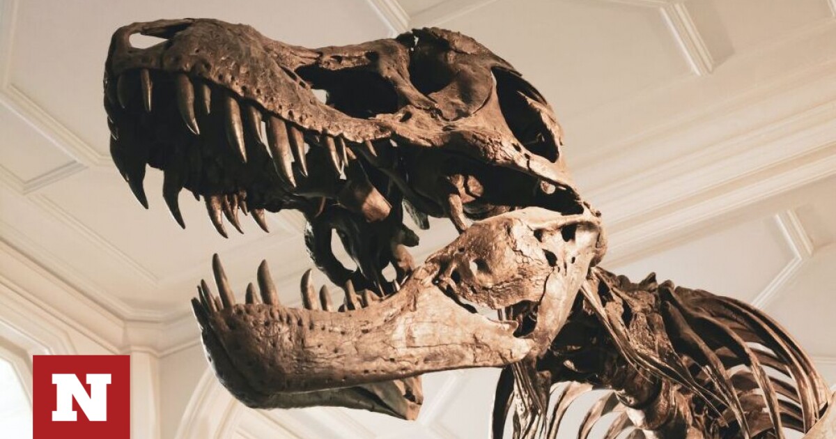 Surprising discovery: The last meal a dinosaur ate was… two baby dinosaurs!  – News bomb – News