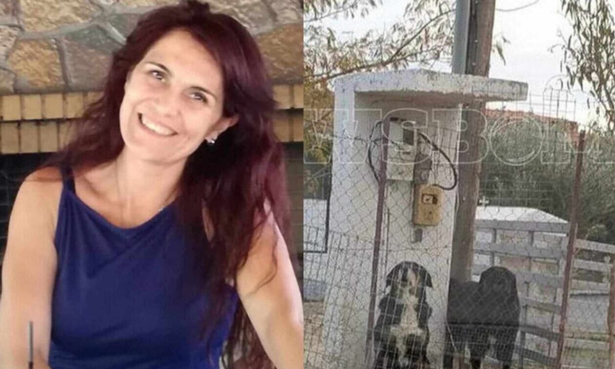 Θεσσαλονίκη: Στη φυλακή ο ιδιοκτήτης των σκύλων που κατασπάραξαν την 50χρονη