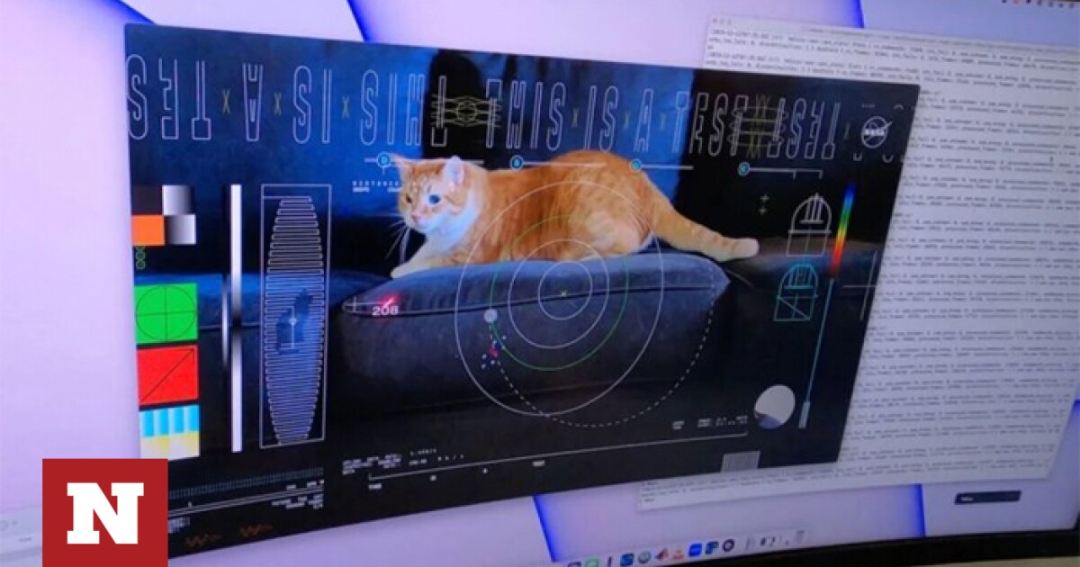NASA: Laser transmitted video of cat taters from 30 million kilometers away – Newsbomb – News