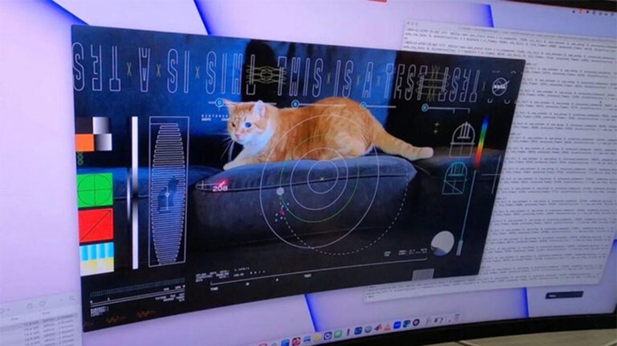 NASA: Μετέδωσε με λέιζερ βίντεο της... γάτας Taters από απόσταση 30 εκατομμυρίων χιλιομέτρων
