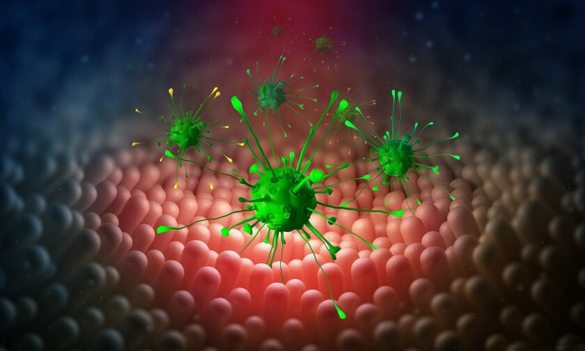 Μικροβίωμα: Πώς επηρεάζει την ανταπόκριση στο εμβόλιο κατά της Covid
