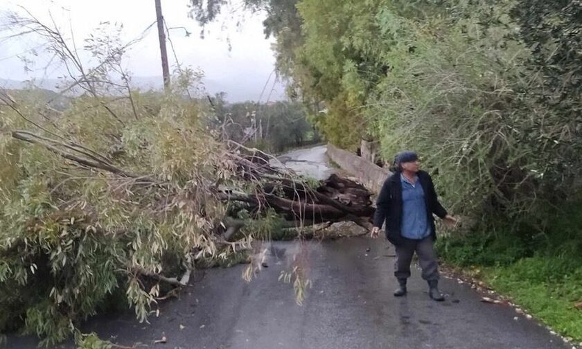 Κακοκαιρία: Καταστροφές και στη Μυτιλήνη – Πτώσεις δέντρων και διακοπές ρεύματος