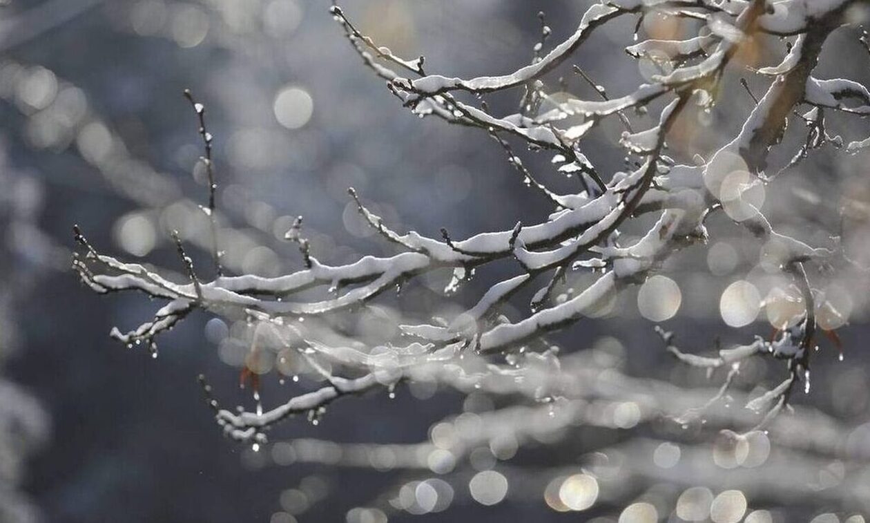 Καιρός - Γιαννόπουλος: Τσουχτερό κρύο από την Τετάρτη - Χιόνια σε Εύβοια, Πήλιο και Πάρνηθα