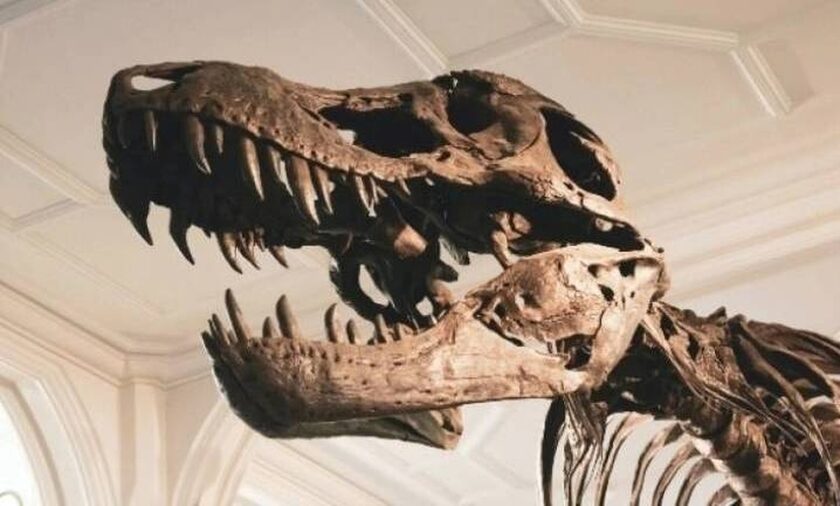 Οι δεινόσαυροι μπορεί να είναι ο λόγος που οι άνθρωποι γερνούν τόσο γρήγορα