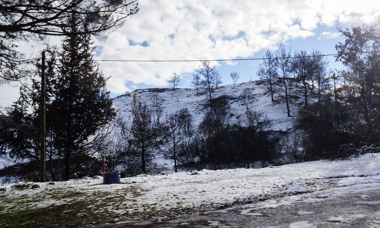Καιρός-Σάκης Αρναούτογλου: Τσουχτερό κρύο και χιονοπτώσεις ακόμα και σε χαμηλά υψόμετρα την Τρίτη