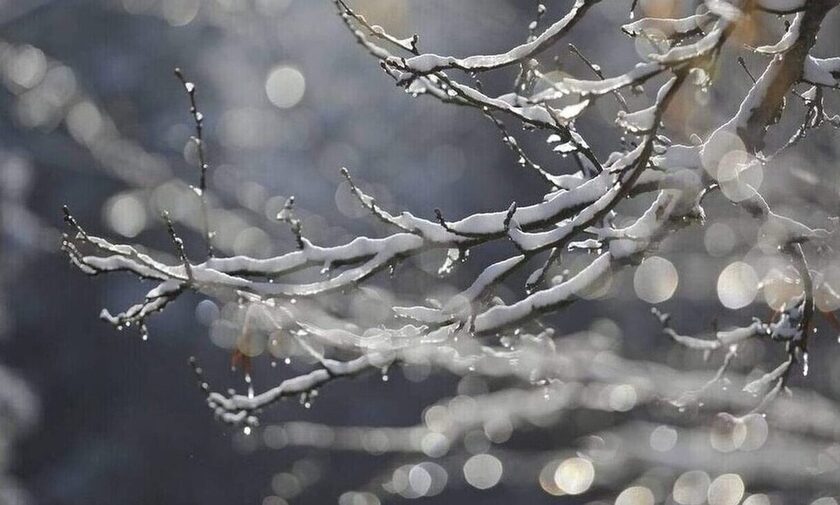 Σαμοθράκη: Κλειστά τα σχολεία λόγω χιονόπτωσης