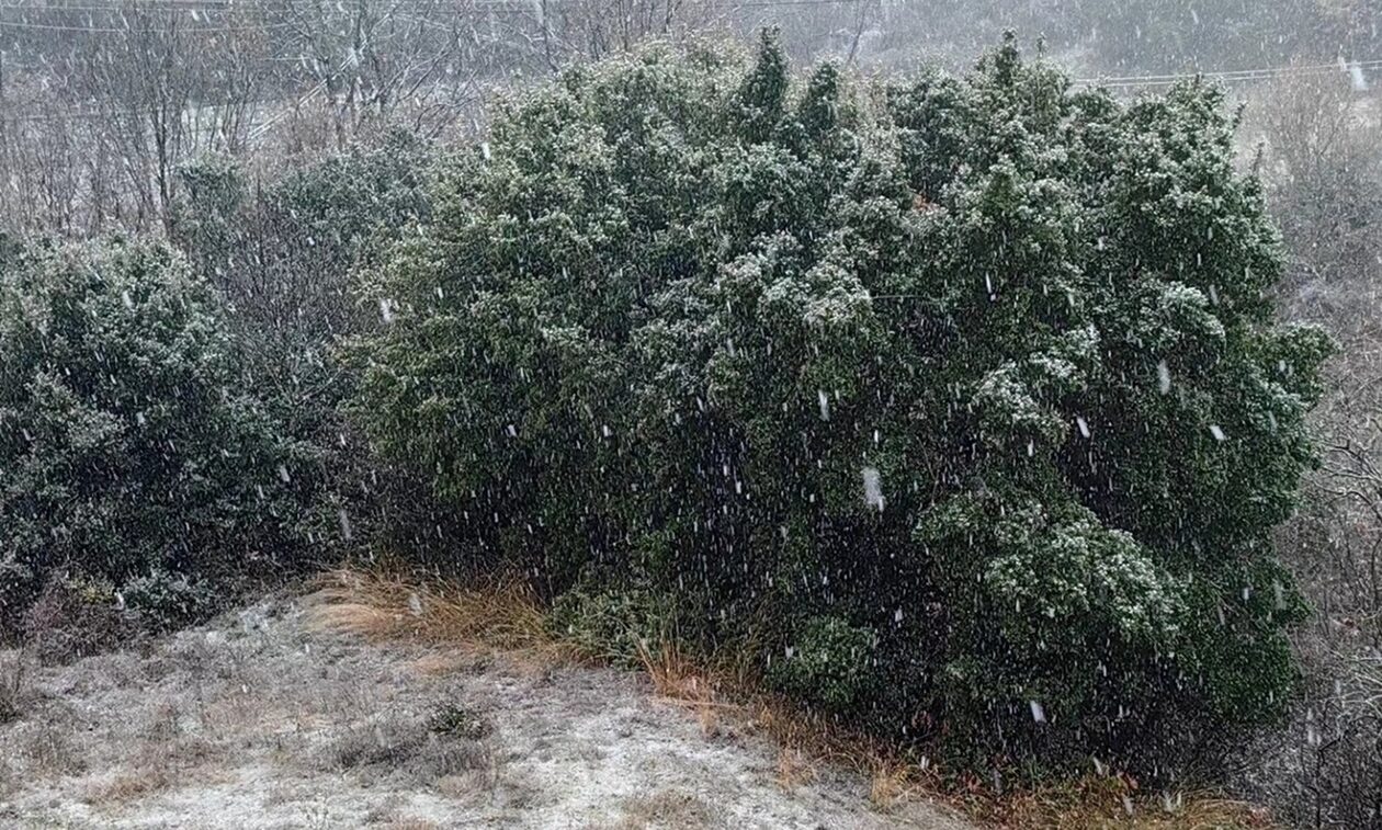Κακοκαιρία: Χιονίζει σε Χορτιάτη, Ασβεστοχώρι και Φίλυρο