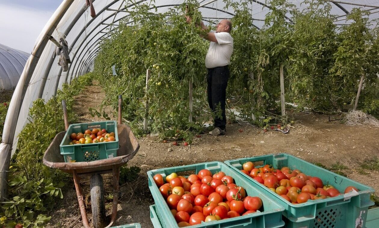 Εξαγωγές φρούτων - λαχανικών: Χρονιά ρεκόρ το 2023 για τα ελληνικά προιϊόντα