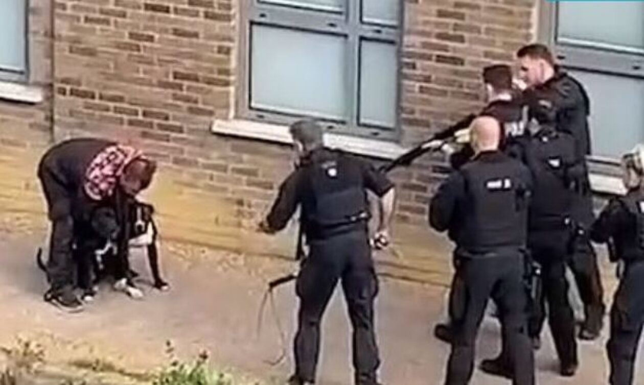 Λονδίνο: Αστυνομικοί σκότωσαν αφηνιασμένο σκυλί σε κεντρικό δρόμο