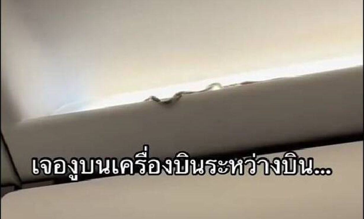 Πανικός σε πτήση προς την Ταϊλάνδη: Ένα ζωντανό φίδι ανάμεσα στους επιβάτες (vid)