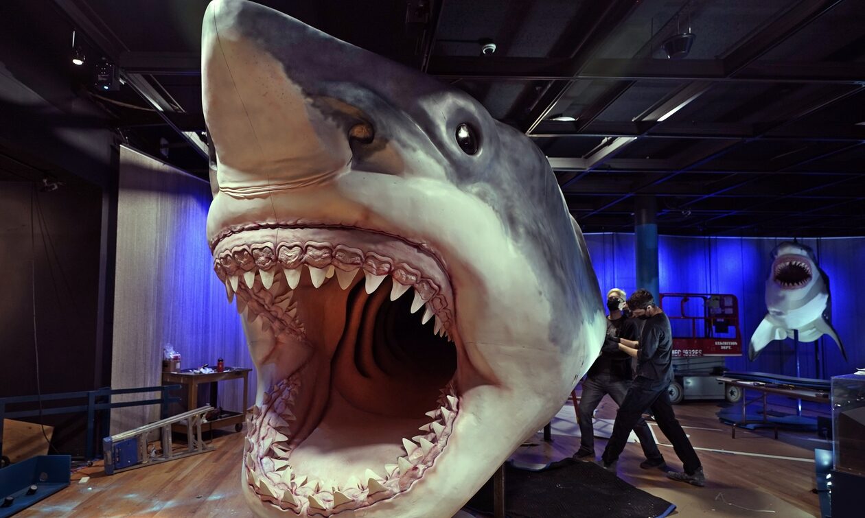 Μεγαλόδοντας: Ο τεράστιος καρχαρίας που σκορπούσε τον τρόμο στις θάλασσες