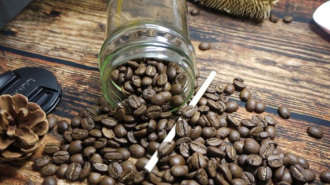 Καφές Arabica: Ιταλοί επιστήμονες δημιούργησαν ένα νέο γενετικό χάρτη του φυτού