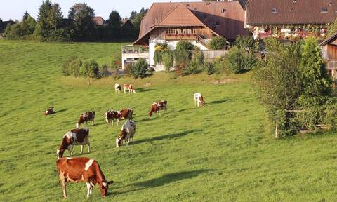 Ελβετία: Η Ένωση Αγροτών θέλει να ακουστεί «η αγανάκτηση του αγροτικού κόσμου» της Ευρώπης