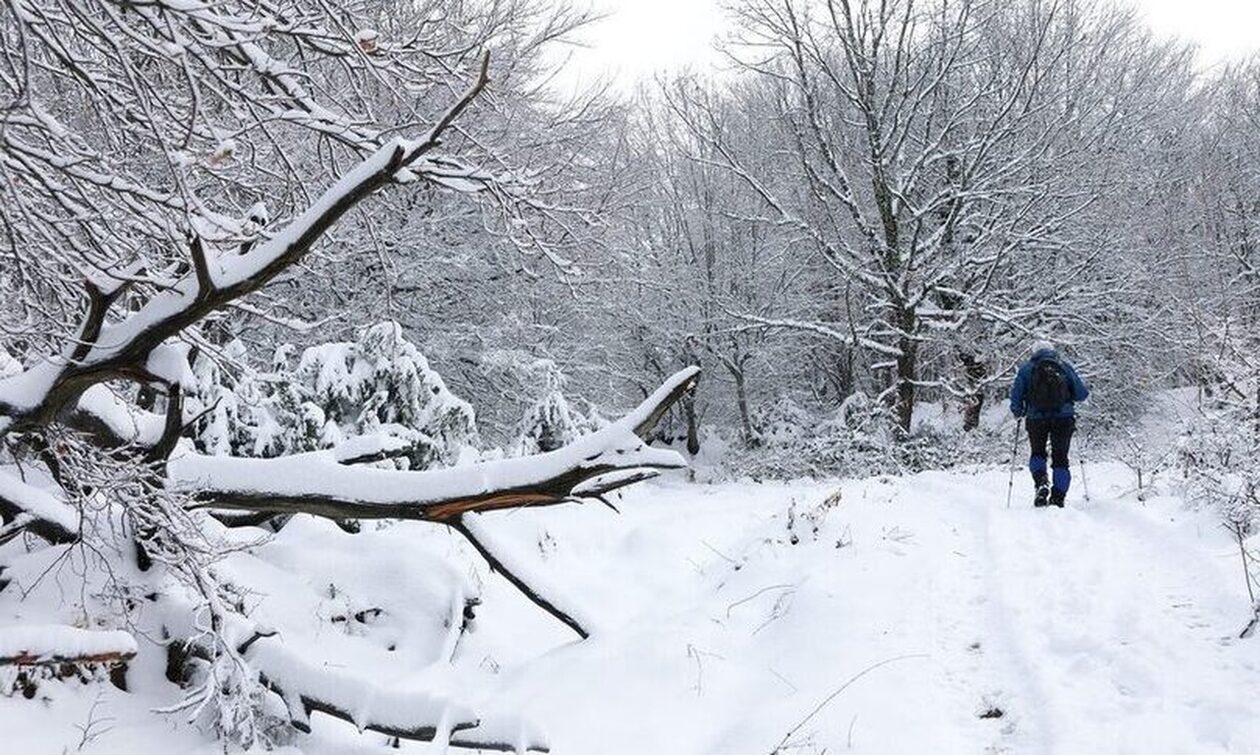 Καιρός: Καταφθάνουν τα χιόνια στη χώρα - Ποιες περιοχές θα «ντυθούν» στα λευκά