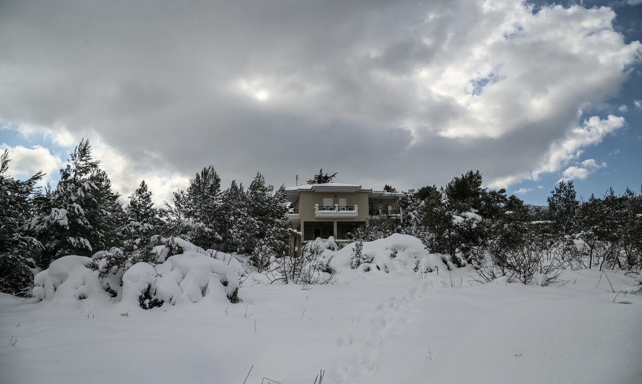 Καιρός: Διακοπή κυκλοφορίας στην Πάρνηθα λόγω χιονιά – Κλειστός ο δρόμος από το ύψος του τελεφερίκ