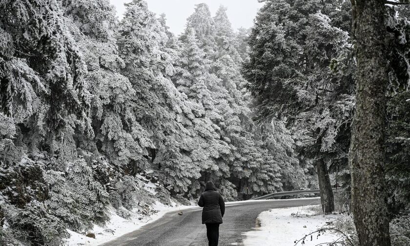 Κακοκαιρία Avgi: Χιονίζει στα ορεινά της Εύβοιας και της Βοιωτίας – Πού χρειάζονται αλυσίδες