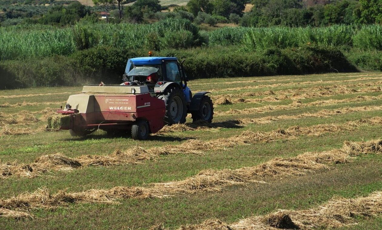 Αγρότες: Ξεκίνησαν οι προκαταβολές της κρατικής αρωγής - Επιδότηση μέχρι και 500.000 ευρώ