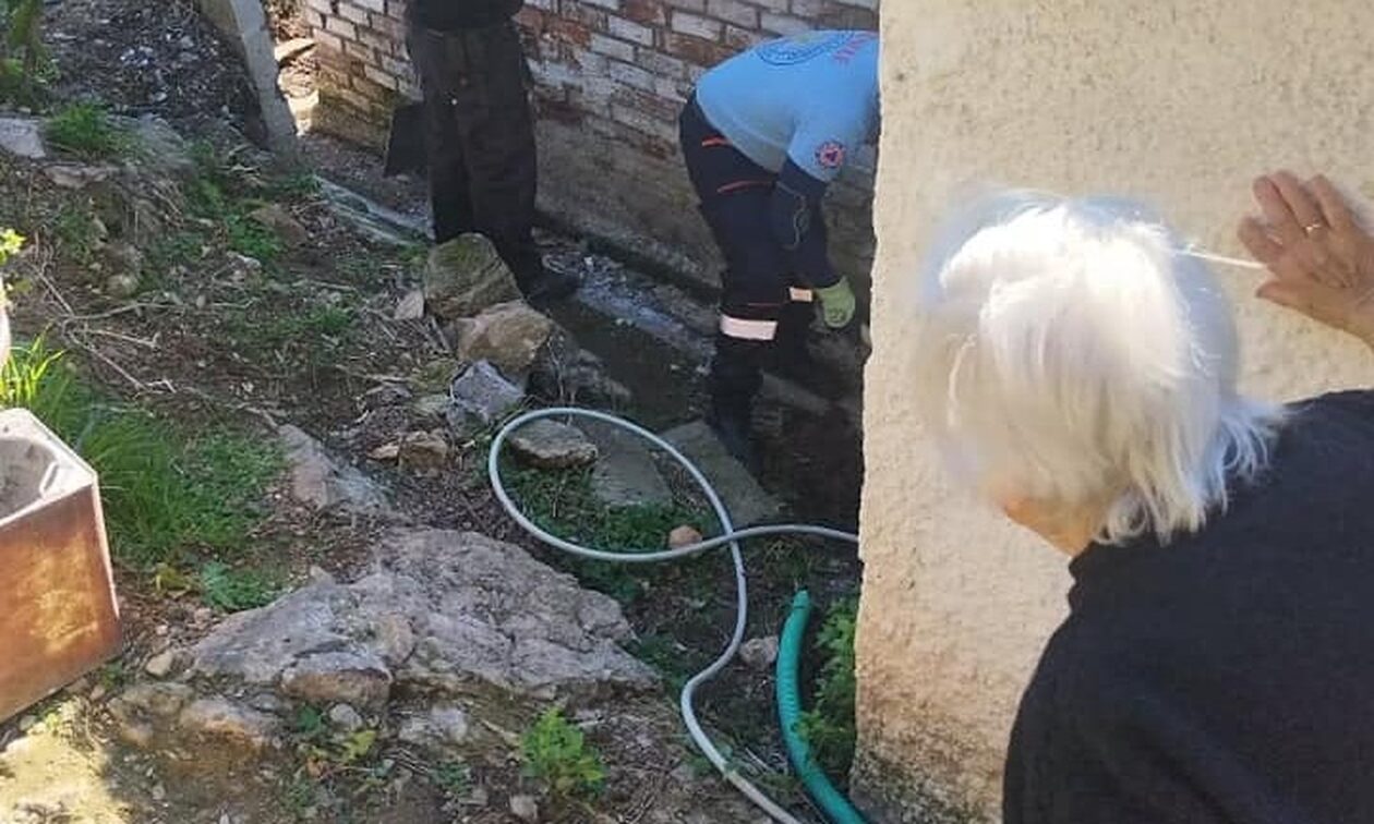 Μαγνησία: Υπάρχει ακόμη ανθρωπιά - Εθελοντές καθάρισαν σπίτι 93χρονης και της πήγαν ξύλα να ζεσταθεί