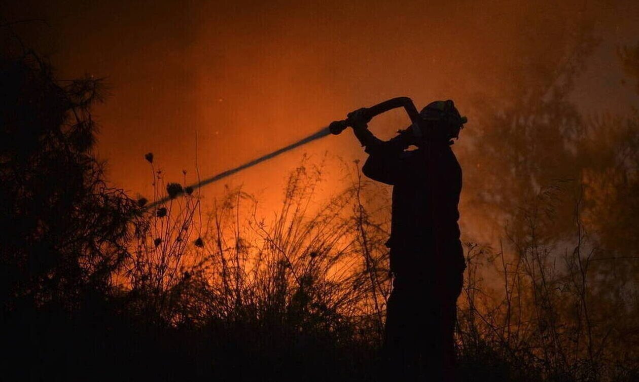 Φωτιά και στην Εύβοια: Καίγεται υδροβιότοπος