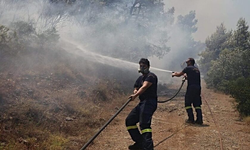 Αμαλιάδα: Πυρκαγιά σε δασική έκταση στην περιοχή Κρυονέρι