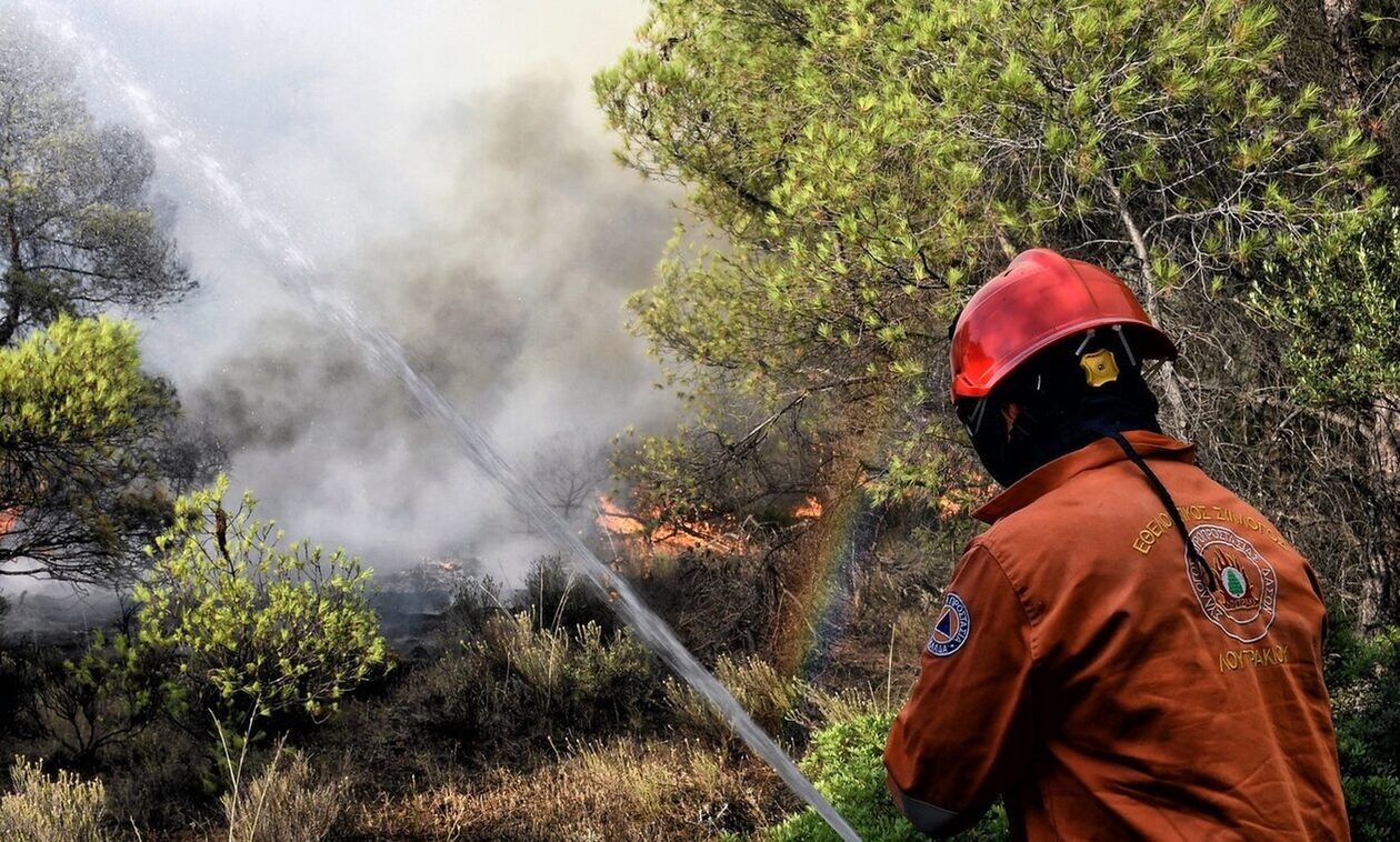 Συναγερμός στην Πυροσβεστική – Νέα πυρκαγιά στο χωριό Κάτω Γερακαρίο στη Ζακύνθο