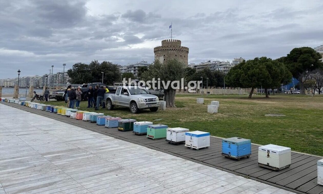 Θεσσαλονίκη: Διαμαρτυρία μελισσοκόμων στη Νέα Παραλία - Έστησαν άδειες κυψέλες