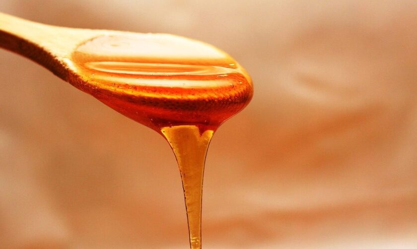 Μέλι: Μειωμένη έως και 70% η φετινή παραγωγή - Τι ζητούν οι μελισσοκόμοι