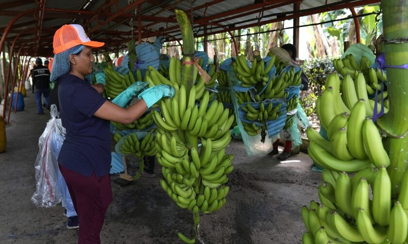 Οι… μπανάνες έβαλαν «φρένο» στη στρατιωτική βοήθεια του Ισημερινού στην Ουκρανία