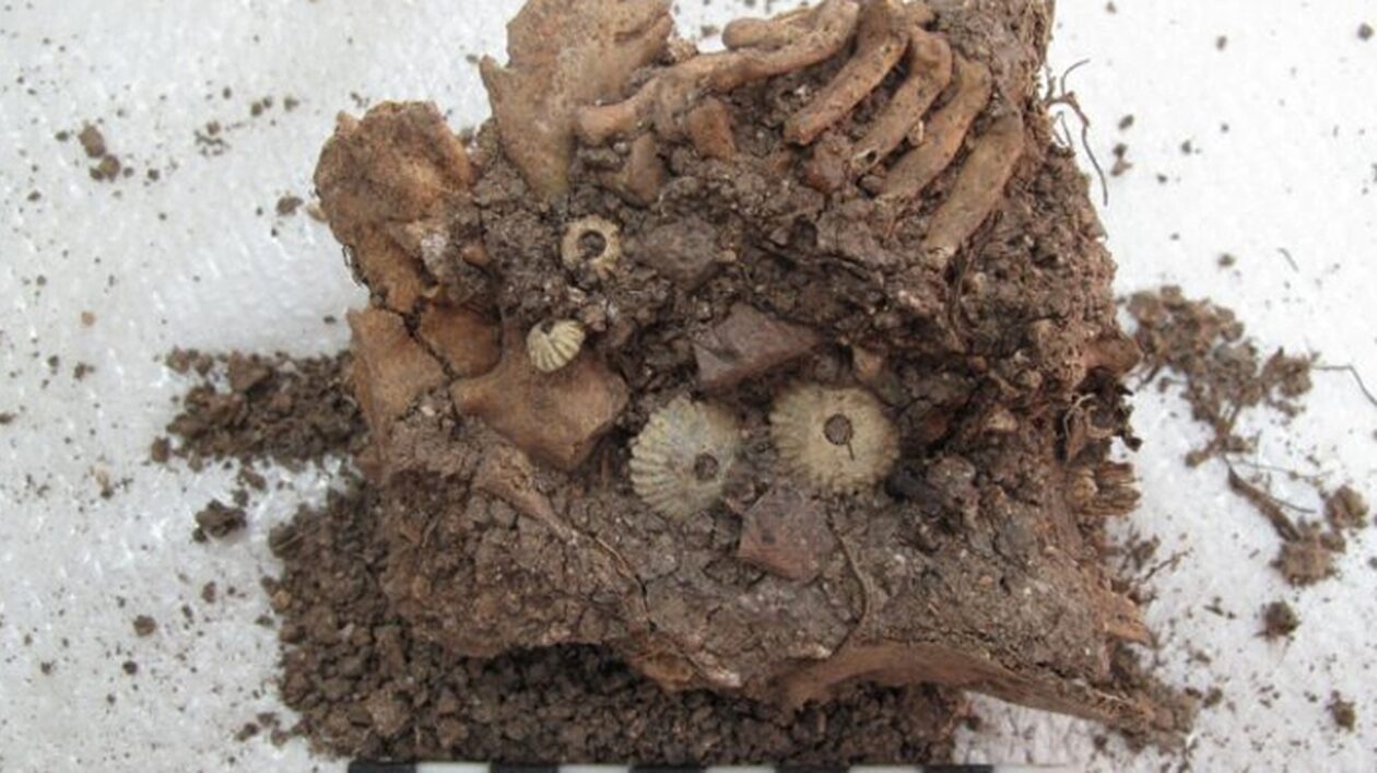 Αρχαιολογικό εύρημα στην Αίγινα: Βρέθηκε σκελετός μωρού με σύνδρομο Down - Πέθανε πριν 3.300 χρόνια