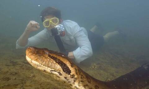 Αμαζόνιος: Ανακαλύφθηκε το μεγαλύτερο φίδι στον κόσμο - Έχει μήκος 8 μέτρα!