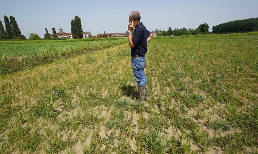 H ξηρασία απειλεί το ριζότο στην Ιταλία