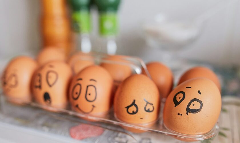 Οι επιστήμονες απάντησαν στο προαιώνιο ερώτημα «η κότα έκανε το αυγό ή το αυγό την κότα»