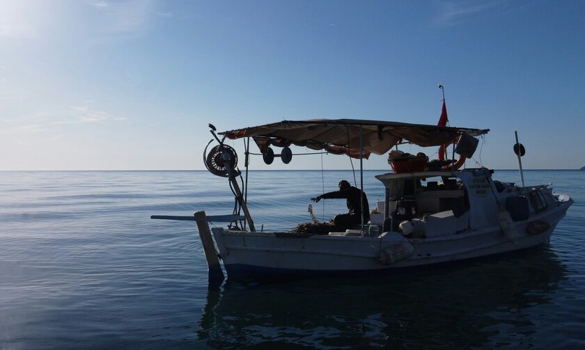 Αντιμέτωποι με την ακρίβεια οι επαγγελματίες αλιείς - Ποια τα προβλήματά τους και τι ζητούν
