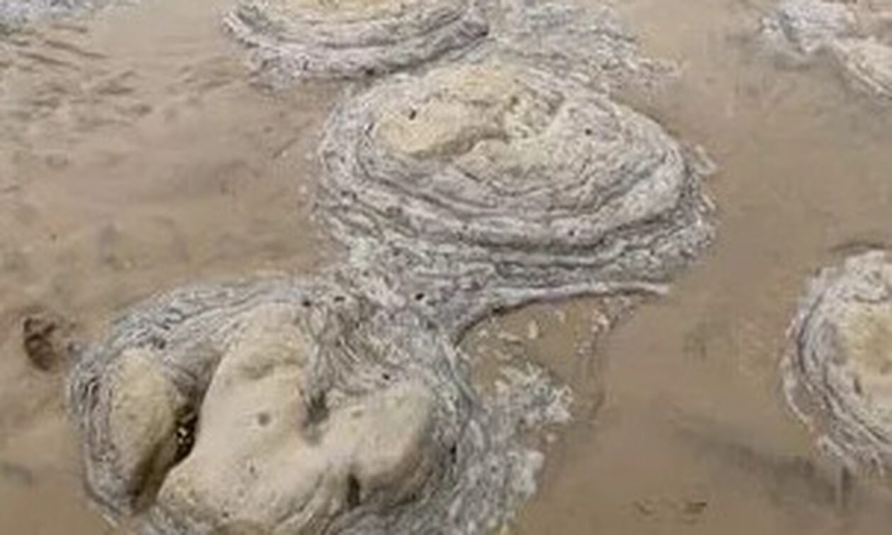 Βρετανία: Η βόλτα στην παραλία «έκρυβε» 8 ίχνη δεινοσαύρων